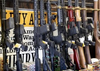 Court Rules Tennessee State Park Gun Ban Unconstitutional