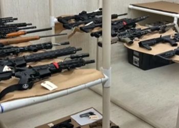 Woman Arrested After Major Drug Bust in Daviess County