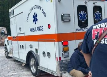 Millions of Birds Set to Migrate Over Tennessee in the Coming Weeks