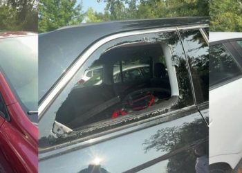 GOP Congressman Taunting Protester Before Altercation