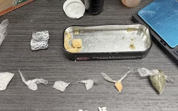 Millions of Birds Set to Migrate Over Tennessee in the Coming Weeks