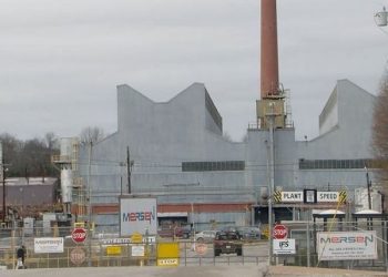 Millions of Birds Set to Migrate Over Tennessee in the Coming Weeks