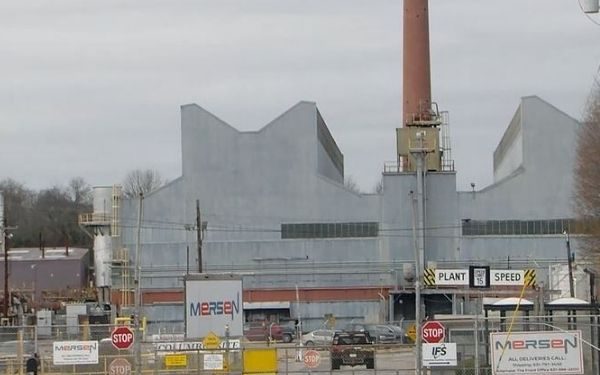 Millions of Birds Set to Migrate Over Tennessee in the Coming Weeks