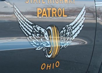 Millions of Birds Set to Migrate Over Tennessee in the Coming Weeks